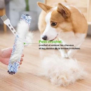 ACCESSOIRE BISSELL FILTRE + BROSSE